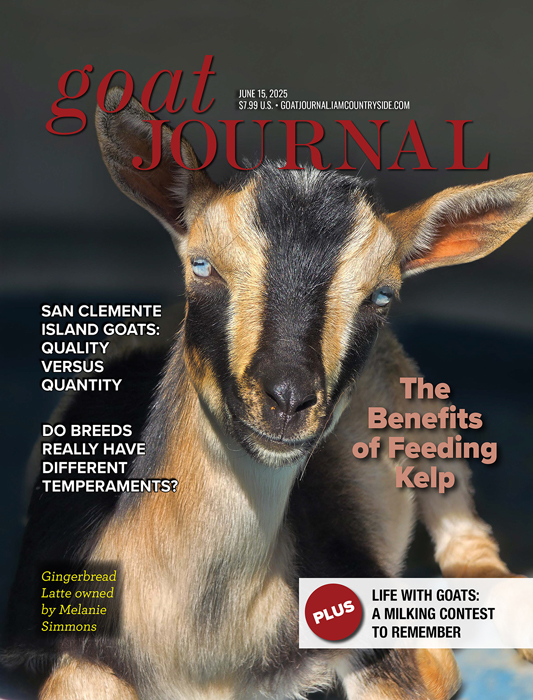 Goat Journal Digital Issue 8